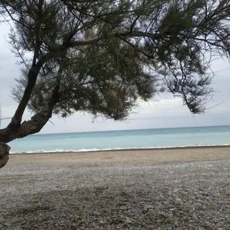 فندق Casa Carmen Martinez 36 A Moncófar المظهر الخارجي الصورة